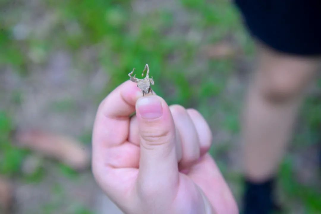 DSC0234.JPG 圖片